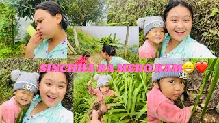 SHINCHHA RA MERO KAM😁❤️ vlogs bipanrai [upl. by Irving]