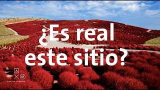 ¿Este sitio ES REAL o ¿El internet NOS ENGAÑA  Alan por el mundo [upl. by Naehs136]