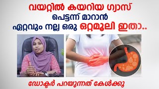 വയറ്റിൽ കയറിയ ഗ്യാസ് പെട്ടന്ന് മാറാൻ കിടിലൻ ഒറ്റ മൂലി \ Gas Maran Ottamooli  Arogyam [upl. by Batchelor360]