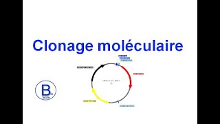 Clonage moléculaire [upl. by Calder]