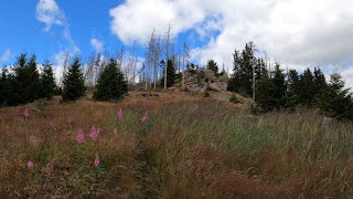 Hohe Wand im Harz  Klippe [upl. by Nirehtak630]