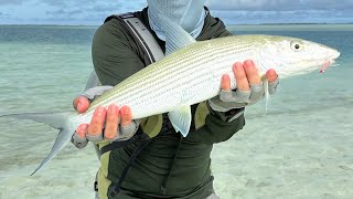 Christmas Island 2023 Bonefish [upl. by Rape]