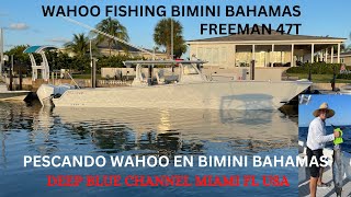 🎣WAHOO 🐟FISHING 🇧🇸BIMINI 🏝BAHAMAS🏝 [upl. by Lorenza]