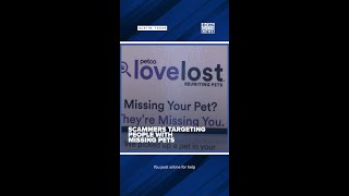 WilCo Regional Animal Shelter warns of ongoing scam targeting owners of missing pets [upl. by Eilloh565]