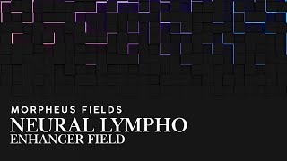 neural lymph enhancer field [upl. by Bluefield]