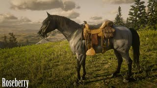 Red Dead Online Missouri Fox Trotter Blue Roan [upl. by Toback]