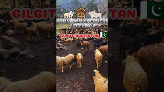 Mountain shepherds lifestyle  Shepherds House  mountains shepherd azan [upl. by Combes242]