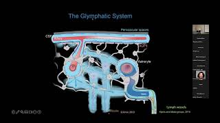 Flaum Eye Institute March Grand Rounds [upl. by Bowyer]