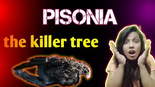 Pisonia the killer tree 😱Anupmakshorts facts amazingfacts FactsMine Anandcreation3 [upl. by Chandos]