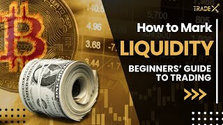 Day Trading Liquidity Levels A Simple Guide for Beginners 2024 [upl. by Llenel]