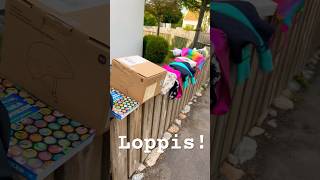 Loppis [upl. by Navek]