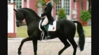 Legendary Dressage Stallion Rubinstein [upl. by Enelkcaj95]