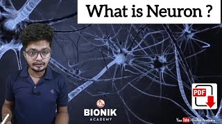 What are Neurons  by Nikhil Sir  BioNik Academy [upl. by Gauldin]