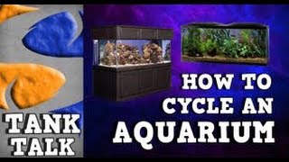 HOW TO CYCLE AN AQUARIUM TANK TALK Presented by KGTropicals [upl. by Urissa712]