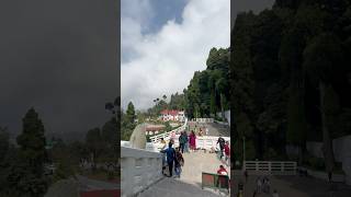 Darjeeling A Beautiful Disaster [upl. by Ottavia]