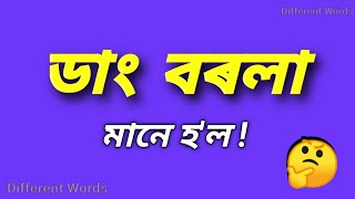 ডাংবৰলা  ৰ ইংৰাজী কি  ডাংবৰলা মানে কি  Assamese to English vocabulary  words meaning [upl. by Rexana]