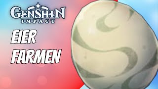 Genshin Impact Deutsch  Eier farmen  Guide  Tipps  Tricks  Tutorial [upl. by Sredna]