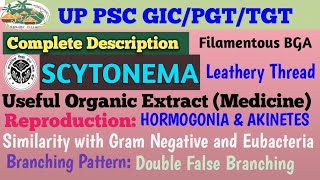 SCYTONEMA Complete Theoritical DescriptionBGA [upl. by Yboc]