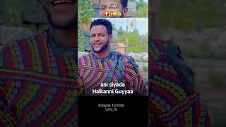 Esayas Tamrat  Walin  ኢሳያስ ታምራት  New Ethiopian Oromo Music 2023 [upl. by Slosberg691]