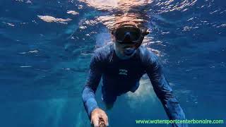 Snorkelen op Bonaire met WhatSup Bonaire [upl. by O'Donovan]