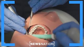 Drug to regrow teeth may be on market by 2030  NewsNation Live [upl. by Dix]