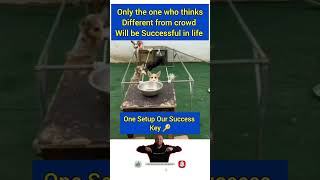 One Setup Our Success Key in Life motivation viralvideo shorts trending stockmarket mindset [upl. by Adnot604]