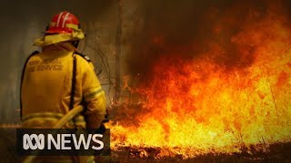 NSW on edge as dangerous fire conditions continue  ABC News [upl. by Elinet]