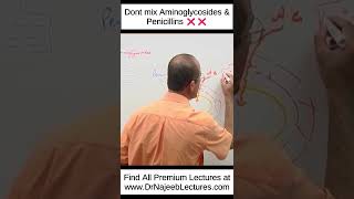 Dont Mix Aminoglycosides And Penicillins ❌❌ shortvideo shorts drnajeeb drnajeeblectures [upl. by Liuka]