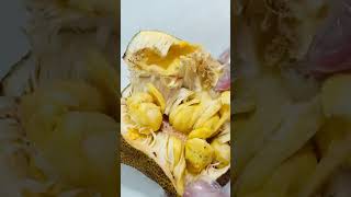 How to open a cempedak fruit Exotic sweet fruit [upl. by Myca]