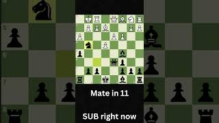 STAFFORD GAMBIT W [upl. by Llekcm]