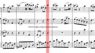 BWV 1047  Brandenburg Concerto No2 Scrolling [upl. by Anahsit]