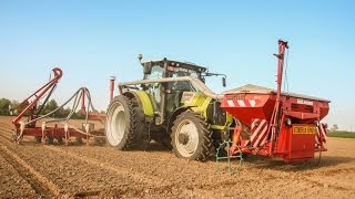 Claas Arion 640 mais zaaien 2014  Steyaert uit Wortegem [upl. by Fowler49]