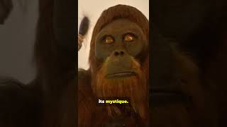 Bigfoot Mystery SHOCKS Scientists  What Did They Discover [upl. by Epilif]