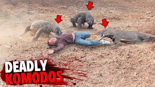 These 3 Komodo Dragons Fatally Mauled People In Deadly Attack [upl. by Crooks]