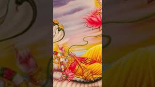 devuthiekadashi sorts fbreels viralvideo youtubevideo [upl. by Aiuoqes]