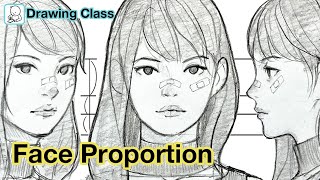 How to draw face  Face Proportions Drawing [upl. by Lesoj]