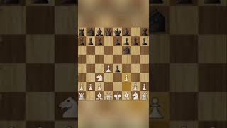 Win with Halosar trap  only for beginners chess views chessgame viewsformthetrap chessbase [upl. by Nora269]