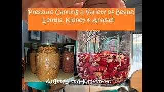 Pressure Canning a variety of BEANS Including Anasazi Beans [upl. by Yssis431]