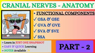 CRANIAL NERVES ll Functional Components ll Neuroanatomy ll Part  2 ll Snapshot Learnings ✨ [upl. by Goltz]