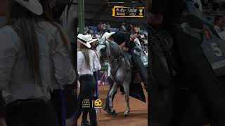 GC PICASSO DE LA ILUSION  Primer Puesto Caballos De 78100 meses Paso Fino Col XXXII COPA AMERICA [upl. by Nicodemus555]