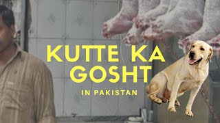 Kutte ka gosht in pakistan  After Donkey  Now dogs meet [upl. by Hickey673]