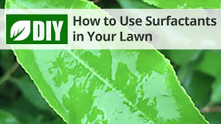 How to Use Surfactants in Your Lawn  DoMyOwncom [upl. by Ahmed360]