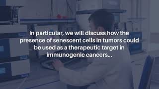 Senescent Cell Vaccines Immune Response Against Cancer amp Aging  AgingUS [upl. by Ahsinik461]