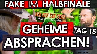 Dschungelcamp 2019  Tag 15 SkandalFAKE im HALBFINALE Evelyn Peter amp Felix im Finale [upl. by Tayyebeb]