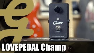 Lovepedal Champ [upl. by Hsaka]