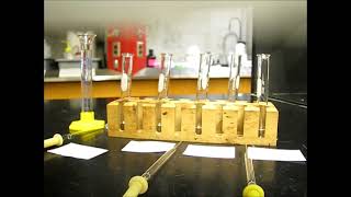 SN2 Reaction Workup and Test of 1Bromobutane Part2 [upl. by Euqinue421]