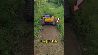 this man finds best Grass Trimmers machine shortsviral satisfying cars [upl. by Okire602]