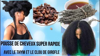 🍇194 CLOU DE GIROFLE ET LE THYM POUR UNE POUSSE DE CHEVEUX ULTRA RAPIDE ET UN CUIR CHEVEUX SAIN [upl. by Acirtal887]