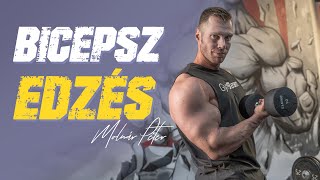 Bicepsz edzés tippek Molnár Péterrel l GymBeam [upl. by Demakis]