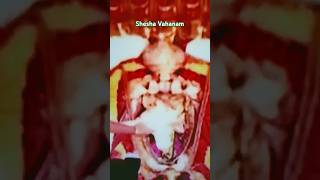 Nagulachaviti roju Srivariki Pedda Shesha Vahana Seva devotional live venkateswara [upl. by Rye]